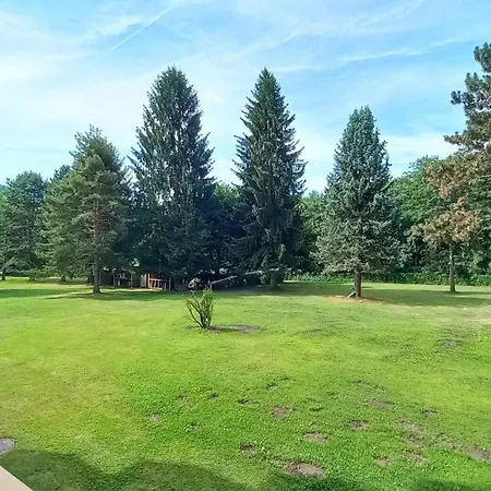 Veronika Haus Kmb Seeappartement Am Ossiacher Mit Direktem Seezugang Und Hallenbad Lejlighed