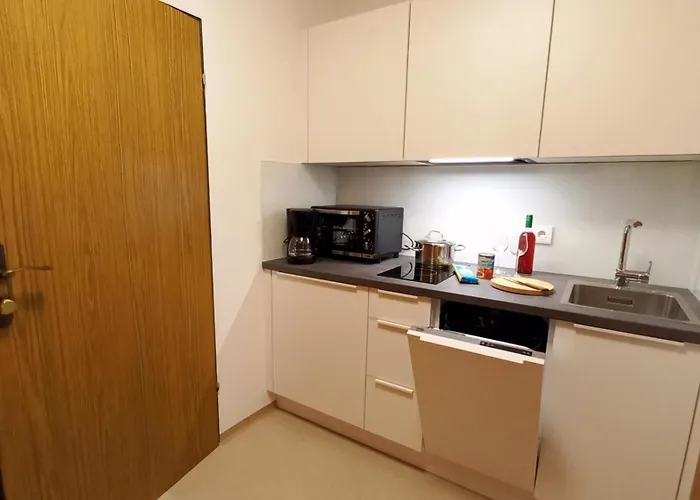 Veronika Haus Kmb Seeappartement Am Ossiacher Mit Direktem Seezugang Und Hallenbad Apartment *